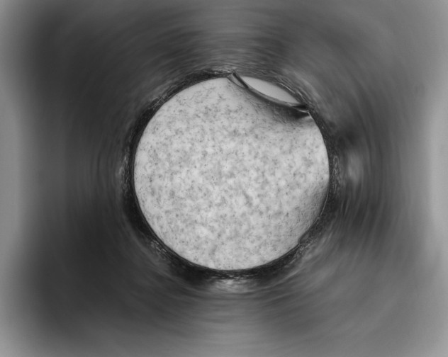 X0000096220364200802151527