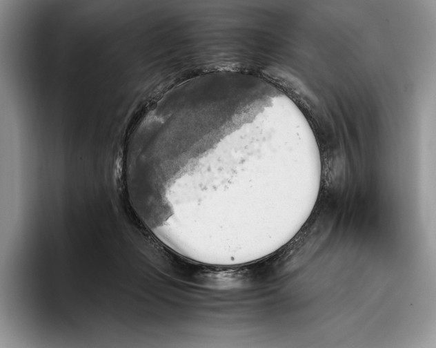 X0000096220365200802151527