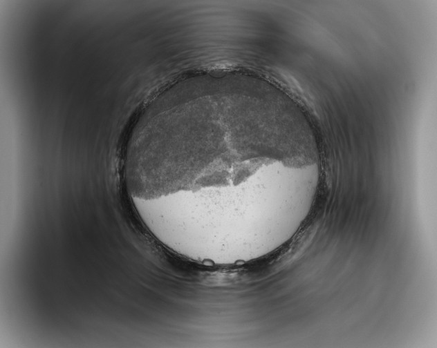 X0000096220366200802151527