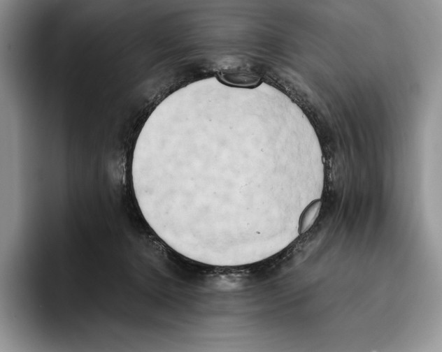 X0000096220368200802151527