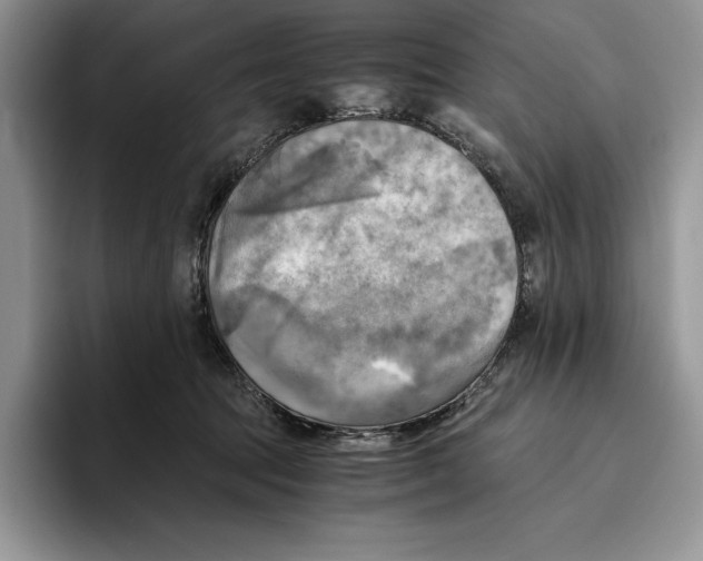 X0000096220369200802151527