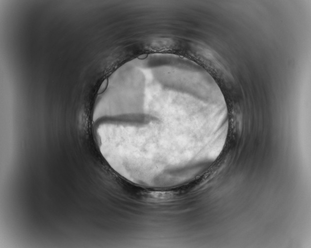 X0000096220371200802151527