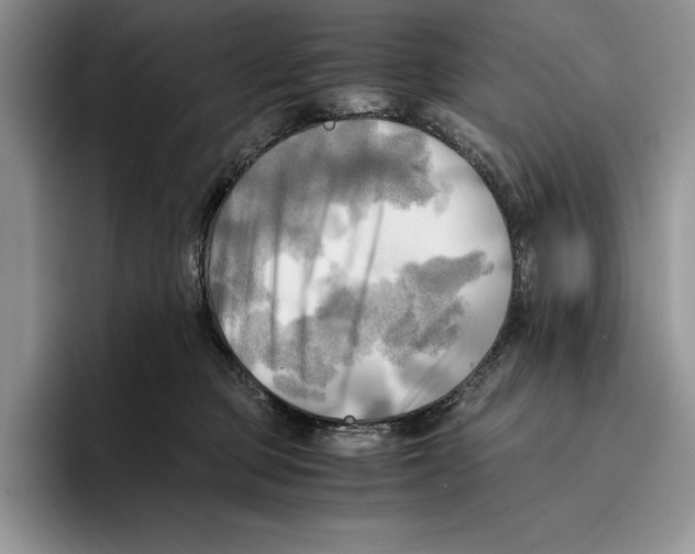 X0000096220373200802151527