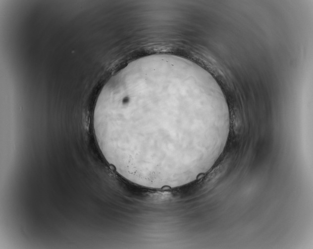 X0000096220374200802151527