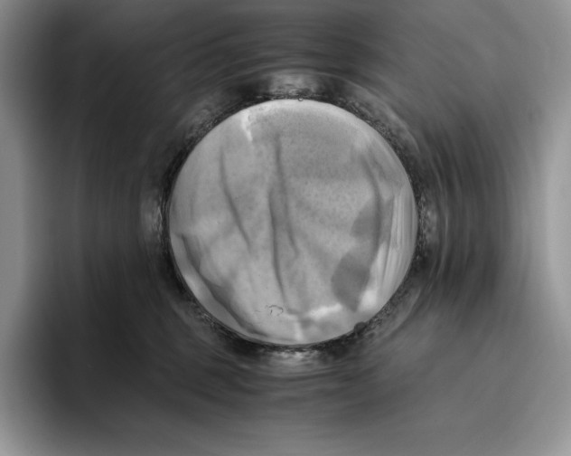 X0000096220375200802151527