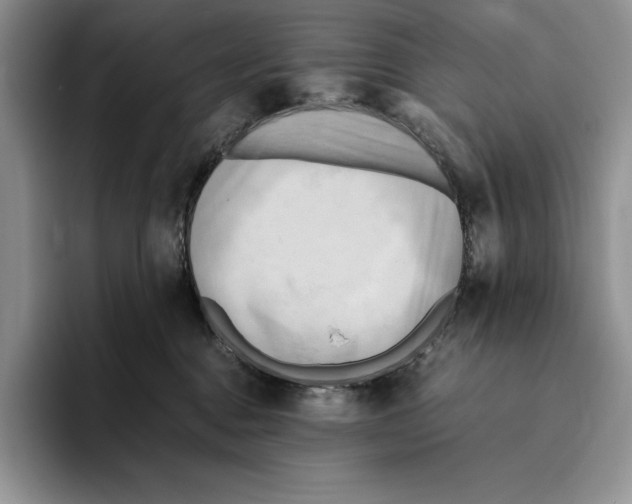 X0000096220376200802151527