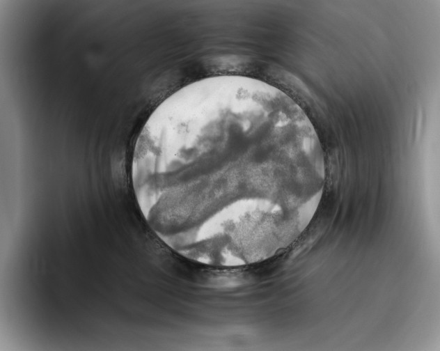 X0000096220377200802151527