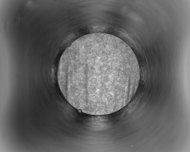 X0000096220378200802151527