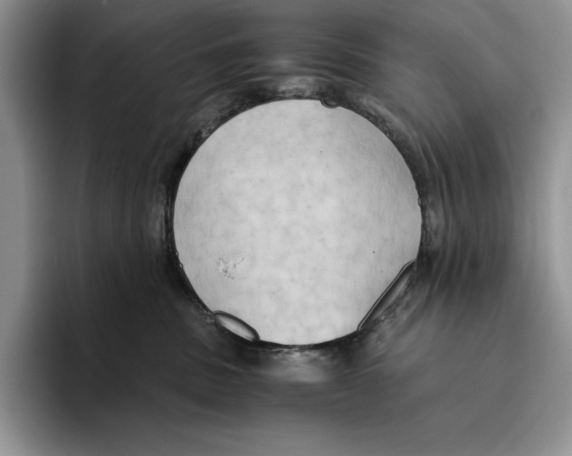 X0000096220379200802151527