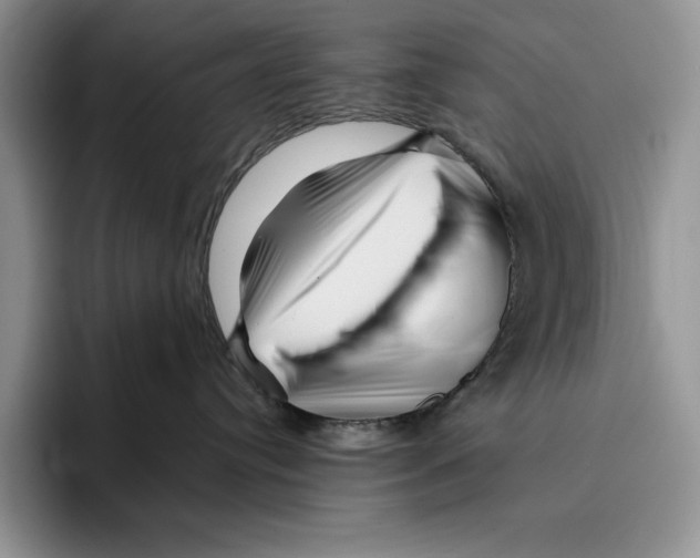 X0000096220384200802151527