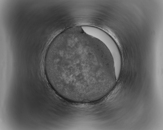 X0000096220385200802151526