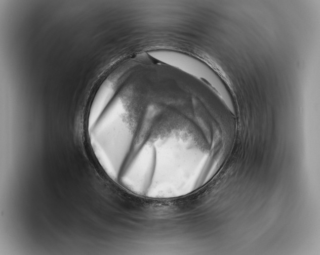 X0000096220386200802151526