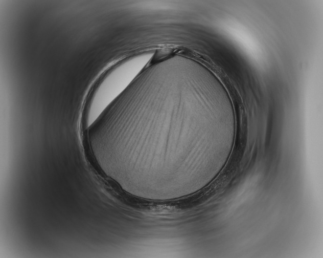 X0000096220387200802151526