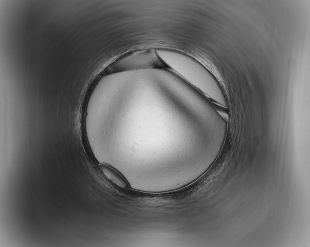 X0000096220389200802151526