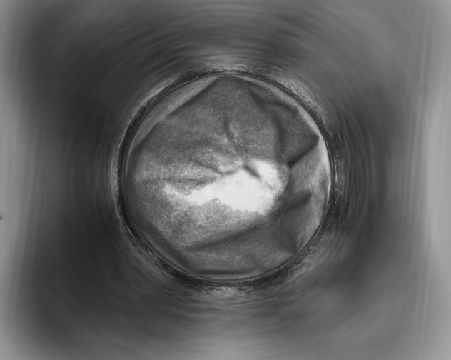 X0000096220390200802151526