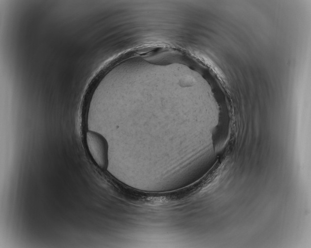 X0000096220391200802151526