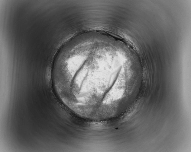 X0000096220394200802151526