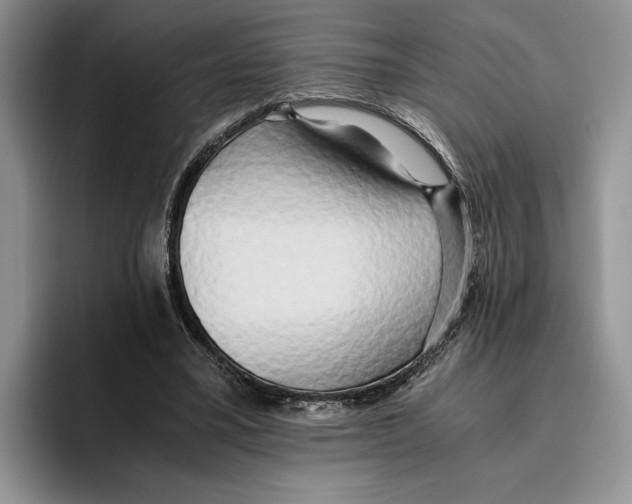 X0000096220395200802151526