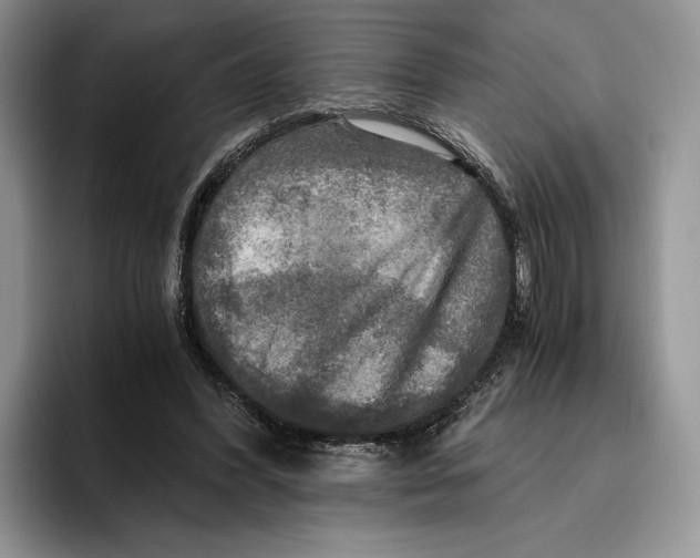 X0000096220396200802151526