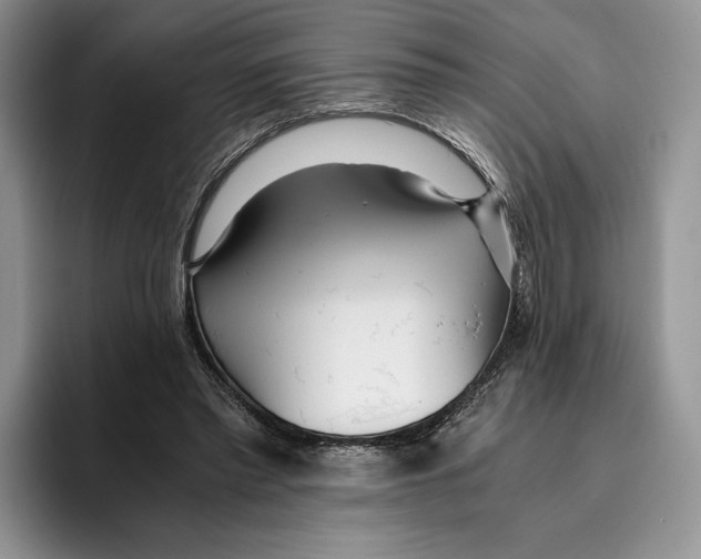 X0000096220397200802151526