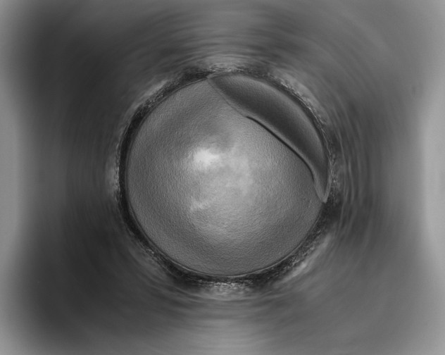 X0000096220399200802151526