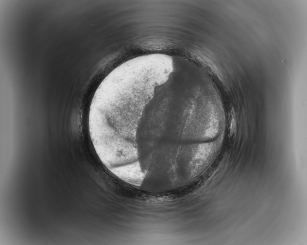 X0000096220400200802151526