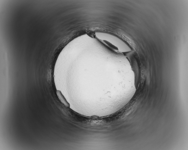 X0000096220401200802151526