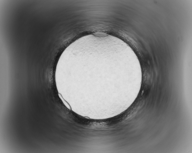 X0000096220403200802151526