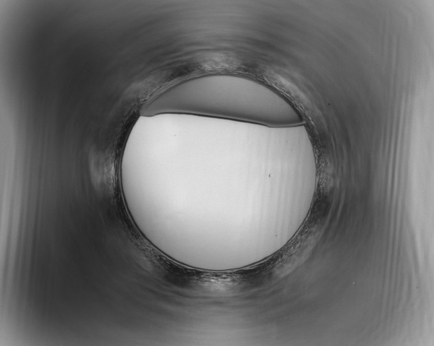 X0000096220405200802151526