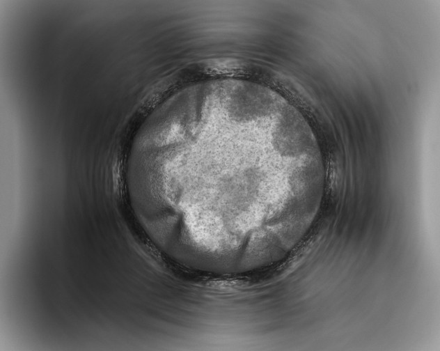 X0000096220408200802151526