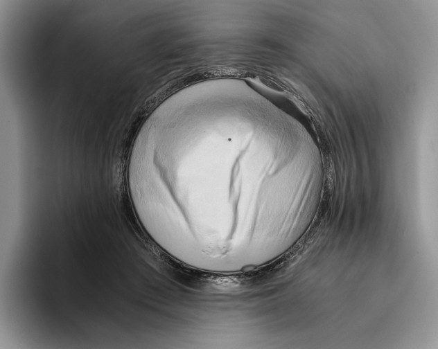 X0000096220409200802151526