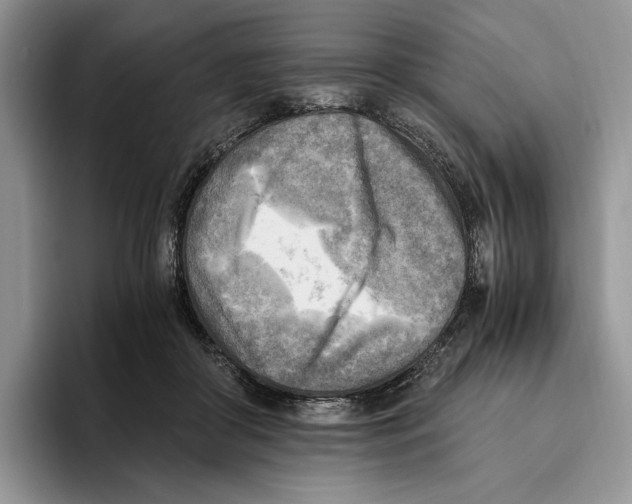 X0000096220410200802151526