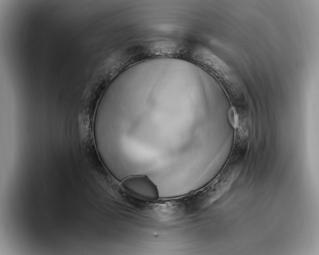 X0000096220411200802151526