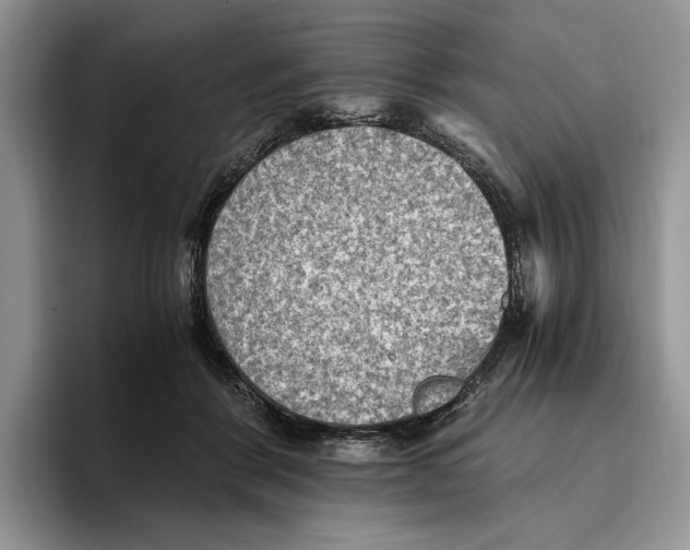 X0000096220412200802151526