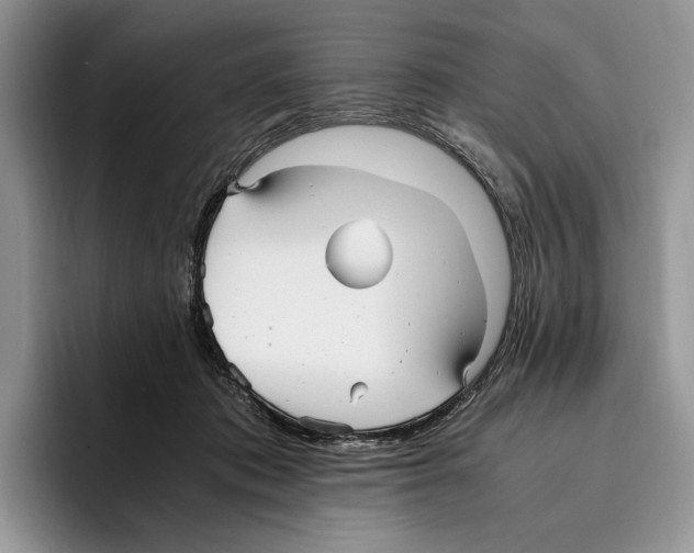 X0000096220413200802151526