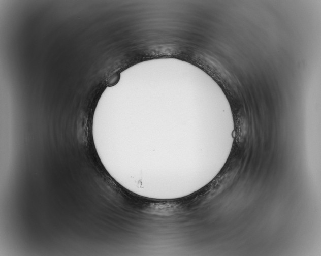 X0000096220414200802151526