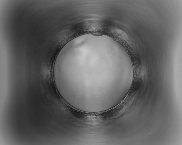 X0000096220415200802151526