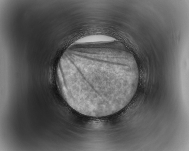 X0000096220416200802151526