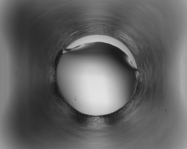 X0000096220421200802151526