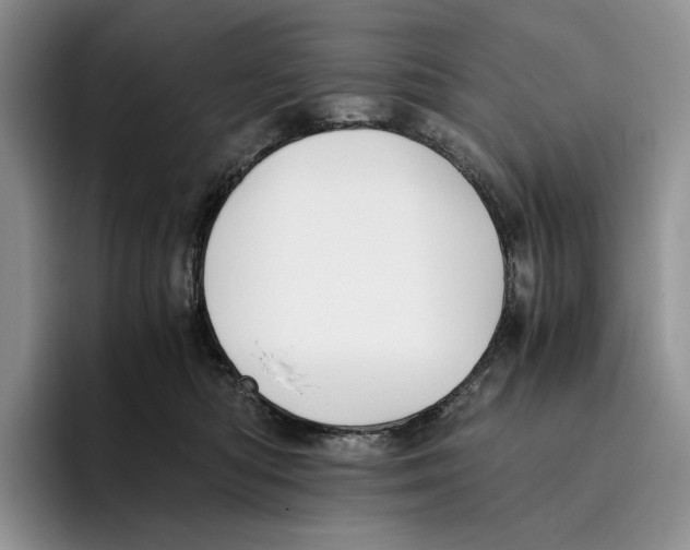 X0000096220422200802151526