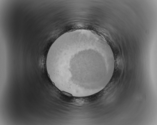 X0000096220423200802151526