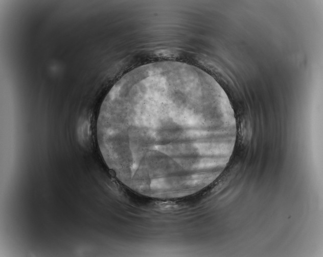 X0000096220424200802151526