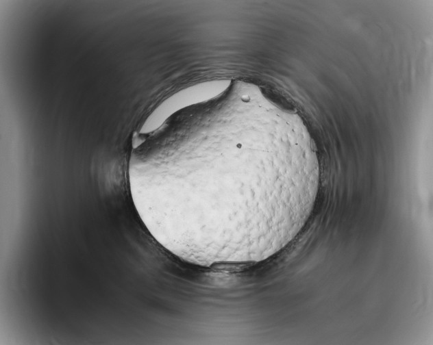 X0000096220425200802151526