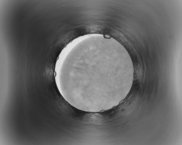 X0000096220427200802151526