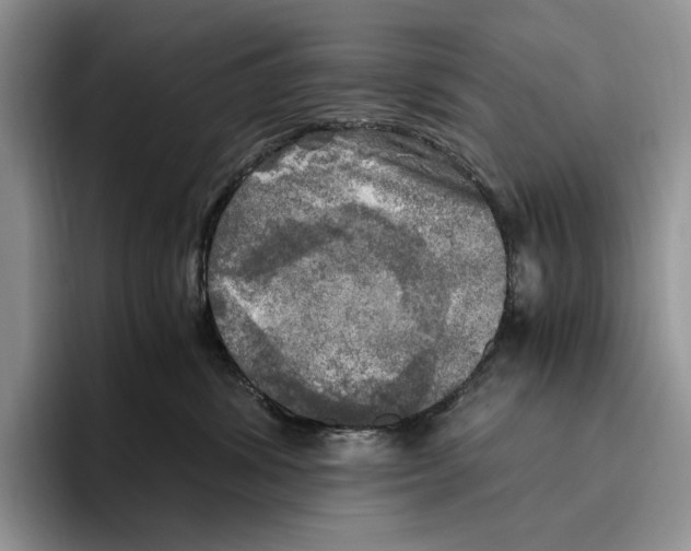 X0000096220428200802151526