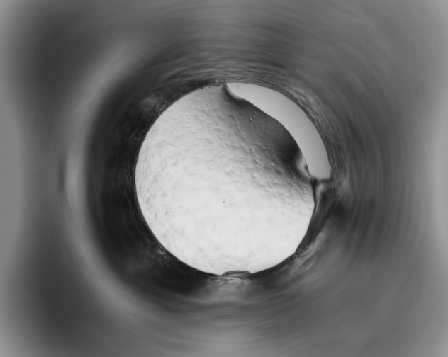 X0000096220429200802151526