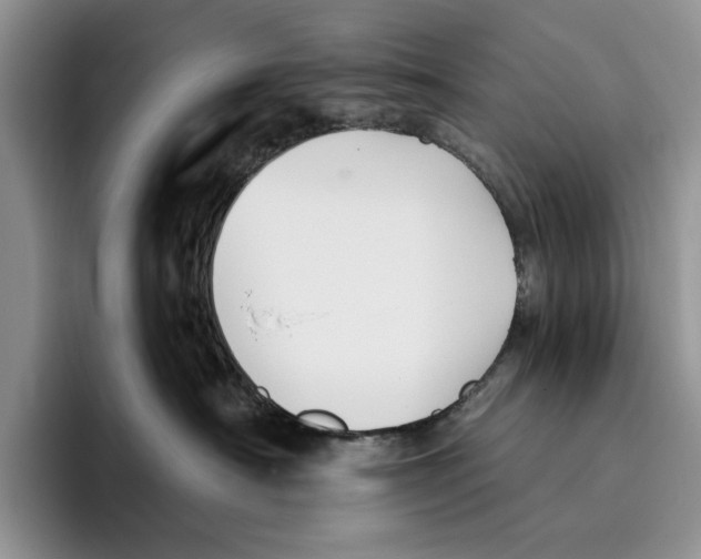 X0000096220430200802151526