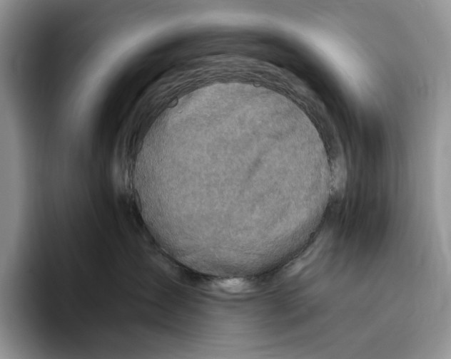 X0000096220431200802151526