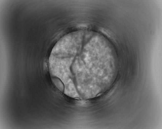 X0000096220432200802151526