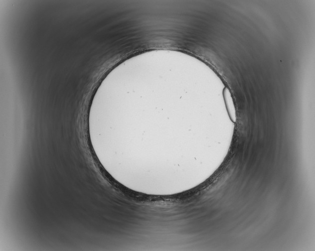 X0000096220433200802151525